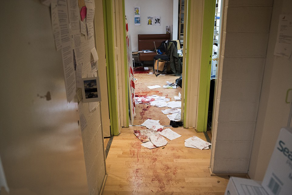 ͼΪѪ���߰ߵ���־��༭����