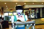 美女机器人现身餐厅 