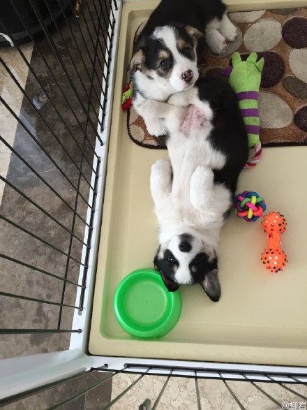 �����һ��������а��� ���Ѻ����ú���"һ��һŮ"��4��