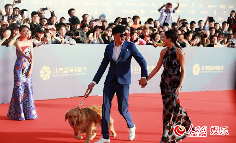 北影节金毛抢镜! 《我的男友和狗》夺目亮相