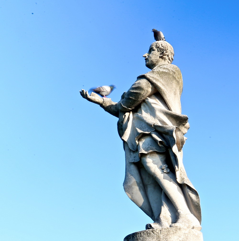 7月28日，在意大利帕多瓦，兩隻鴿子落在河谷草地廣場的雕塑上。