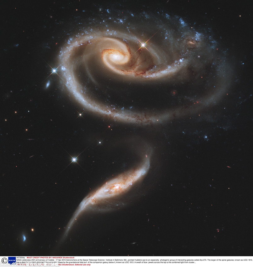 哈勃望遠鏡拍攝小寶石星雲圖片 酷似五彩泡泡有點萌 【5】