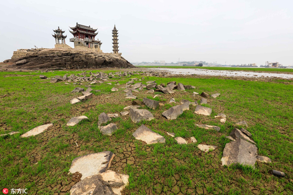 中國最大淡水湖鄱陽湖“露底”再現“風吹草低見牛羊”景觀