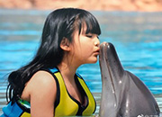 李湘一家度假 王诗龄吻海豚