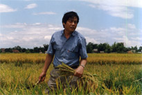 90年代中，在廣西幫老鄉收割麥子