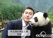 央視主播與大熊貓合影照