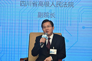 四川省高級人民法院副院長劉楠