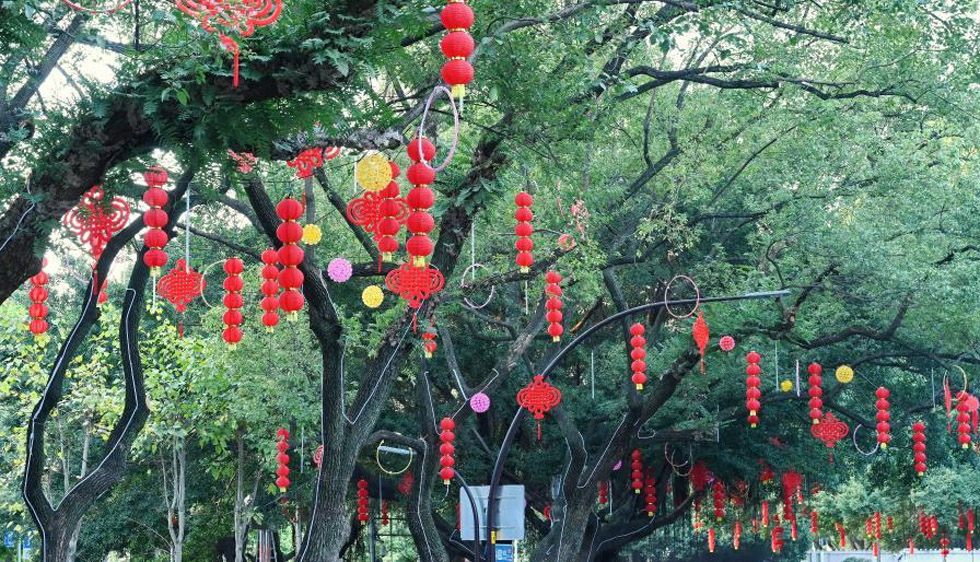 福州：张灯结彩迎新春